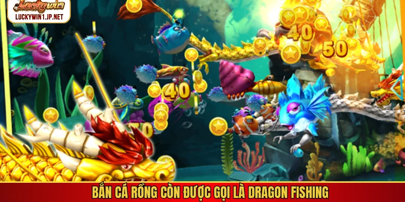 Bắn cá rồng còn được gọi là Dragon Fishing Bắn cá rồng còn được gọi là Dragon Fishing