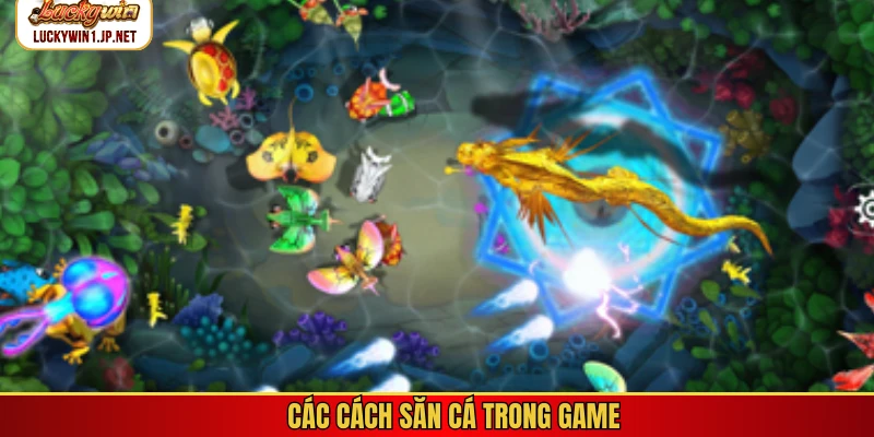 Các cách săn cá trong game Các cách săn cá trong game