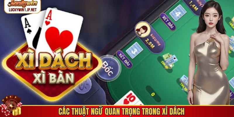 Các thuật ngữ quan trọng trong xì dách Các thuật ngữ quan trọng trong xì dách